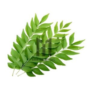 Curry Leaves